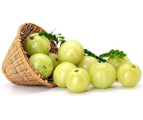 Indian Gooseberry -Plant