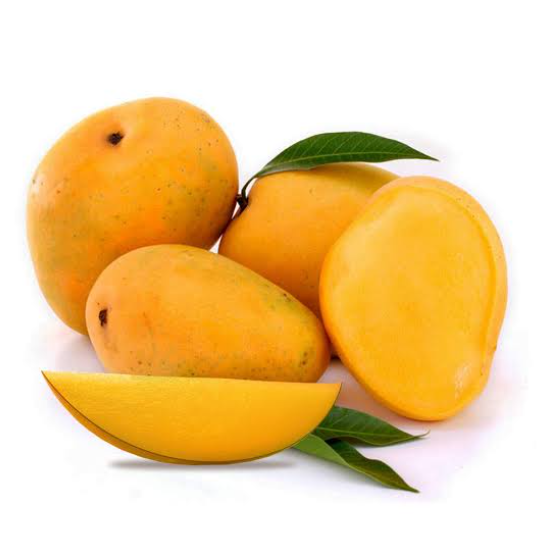 Banginapalli Mango - Plant