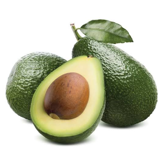 Avocado-Plant