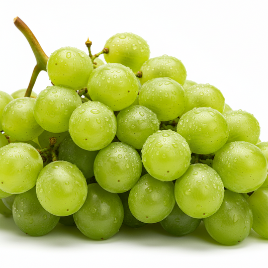 Grape - Plant