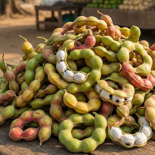 Seema Chinta - Plant